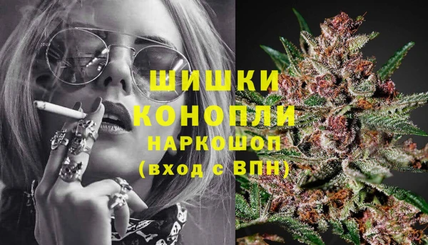 прущий лед Абаза