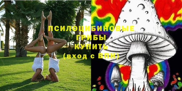прущий лед Абаза
