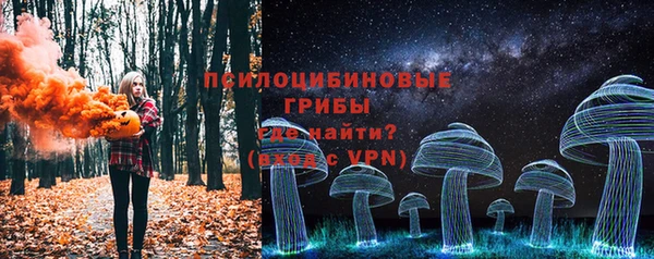 прущий лед Абаза