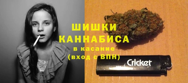 ПСИЛОЦИБИНОВЫЕ ГРИБЫ Абдулино